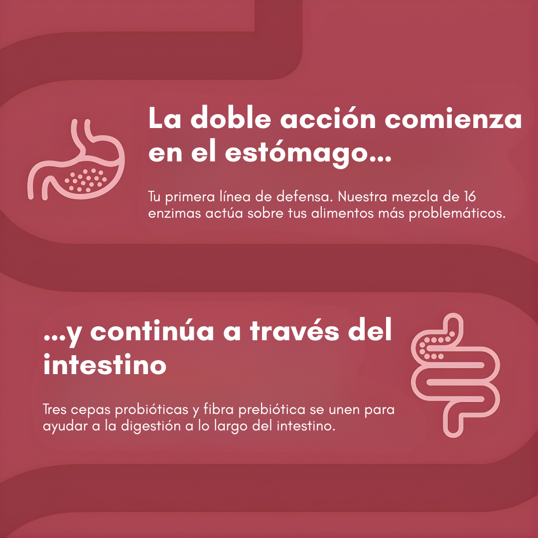 ENZIMAS DIGESTIVAS – Apoyo digestivo para menos pesadez, mejor evacuación y abdomen más ligero