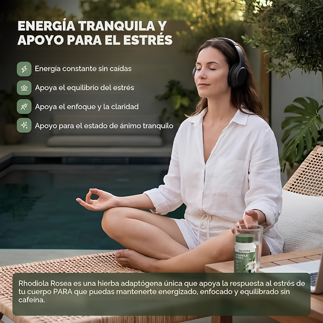 RHODIOLA ROSEA – Energía mental, resistencia al estrés y enfoque para rendir mejor cada día