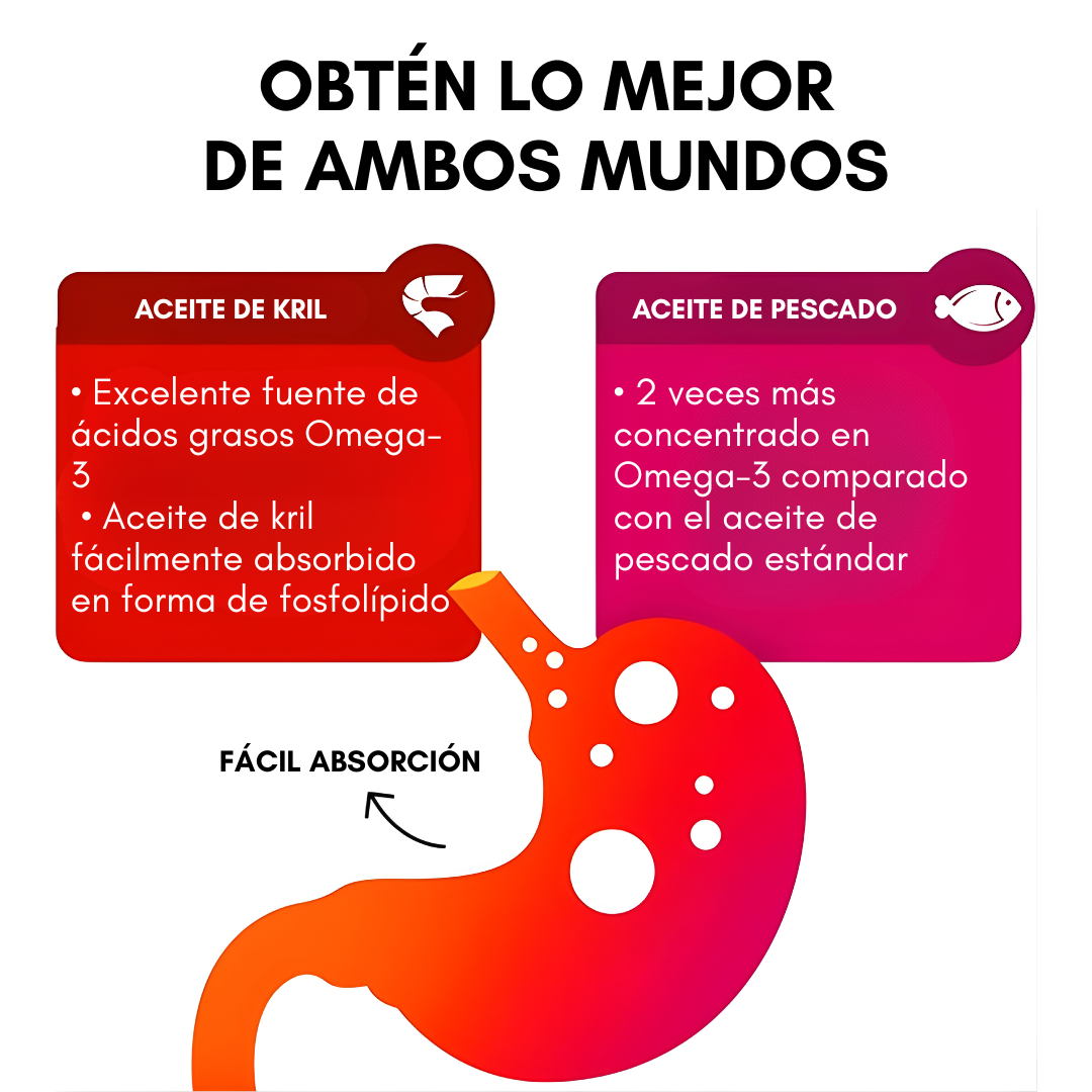 MEGA RED OMEGA — El combustible esencial para tu corazón y rendimiento diario