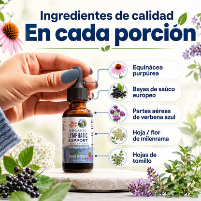 MARYRUTH'S LYMPHATIC SUPPORT – Apoyo linfático para sentirte más ligera cada día