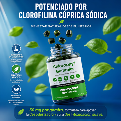 GOMITAS DE CLOROFILA - Digestión ligera y sabor rico