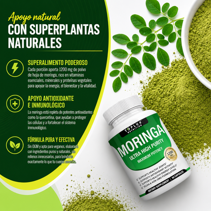 TOPLUX MORINGA CAPSULES – Nutrición natural, energía diaria y bienestar integral en cada cápsula