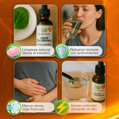 CLOROFILA BENEVOLENT X 60 ML – Apoyo digestivo para sentirte más ligera cada día