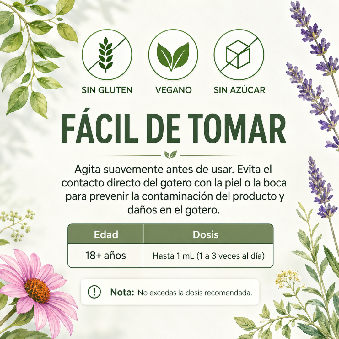 MARYRUTH'S LYMPHATIC SUPPORT – Apoyo linfático para sentirte más ligera cada día