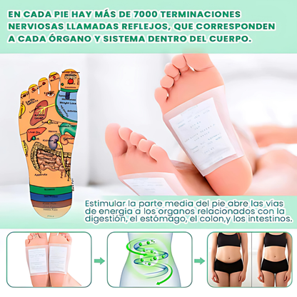PARCHES DETOX KINOKI — Limpia tu cuerpo de forma natural mientras duermes