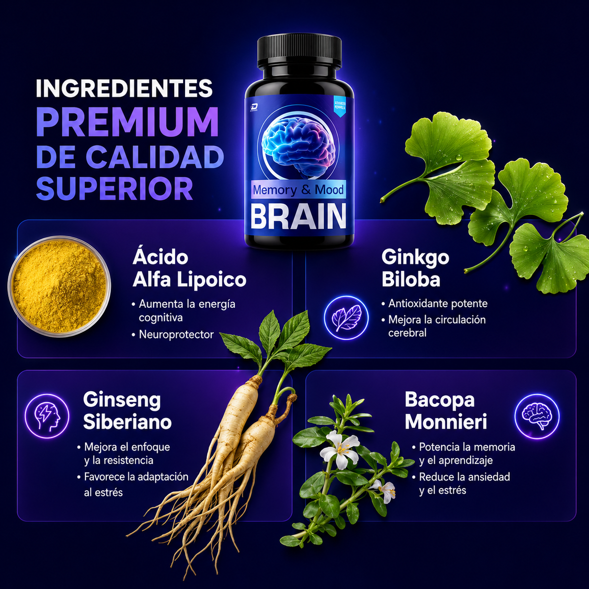 BRAIN MEMORY AND MOOD – Memoria, enfoque y nutrición cerebral para mantener tu mente activa cada día