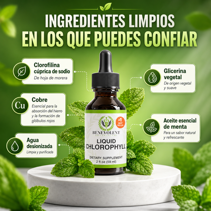 CLOROFILA BENEVOLENT X 60 ML – Apoyo digestivo para sentirte más ligera cada día