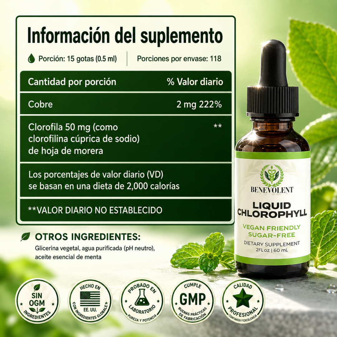 CLOROFILA BENEVOLENT X 60 ML – Apoyo digestivo para sentirte más ligera cada día