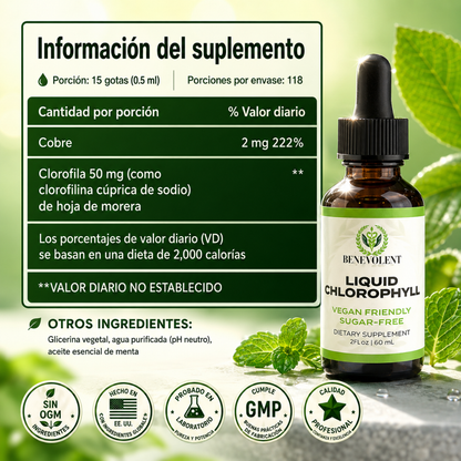 CLOROFILA BENEVOLENT X 60 ML – Apoyo digestivo para sentirte más ligera cada día