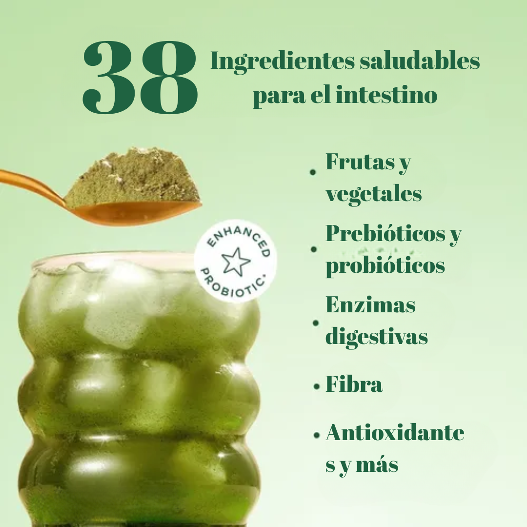 BLOOM - NUTRICIÓN — Digestión ligera, abdomen plano y energía diaria