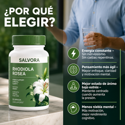 RHODIOLA ROSEA – Energía mental, resistencia al estrés y enfoque para rendir mejor cada día