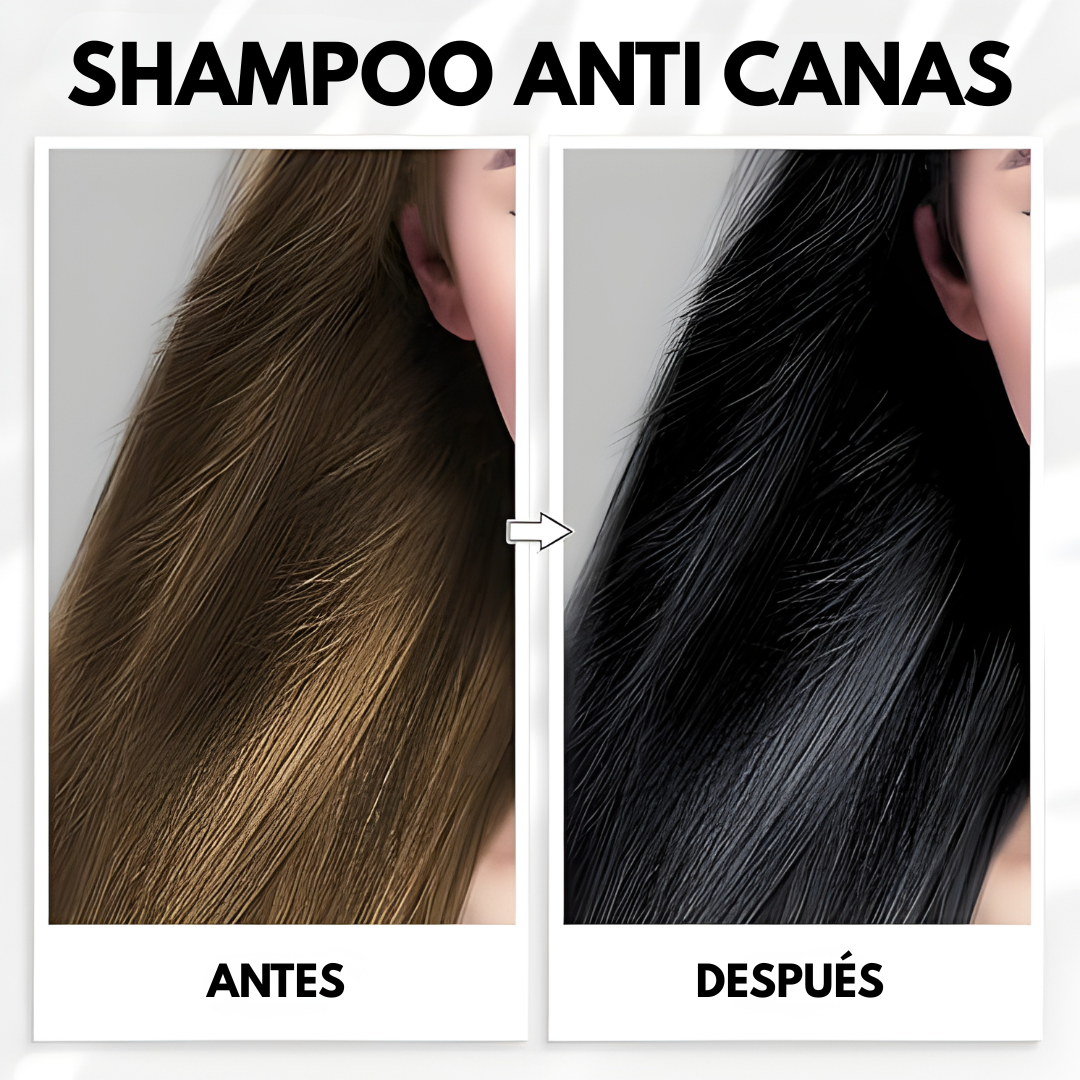 SHAMPOO ANTI CANAS – Color natural, cobertura progresiva y cabello revitalizado desde la raíz