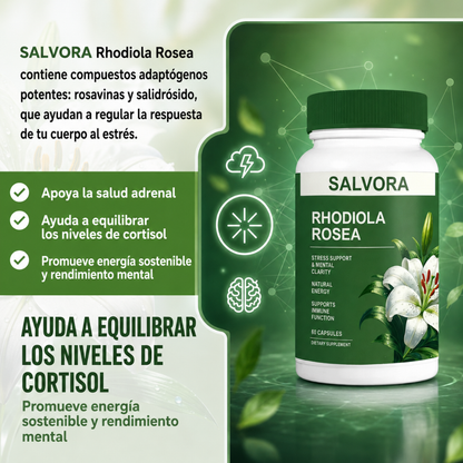 RHODIOLA ROSEA – Energía mental, resistencia al estrés y enfoque para rendir mejor cada día