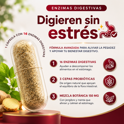 ENZIMAS DIGESTIVAS – Apoyo digestivo para menos pesadez, mejor evacuación y abdomen más ligero