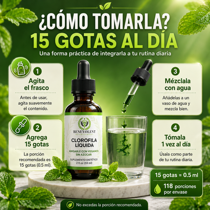 CLOROFILA BENEVOLENT X 60 ML – Apoyo digestivo para sentirte más ligera cada día